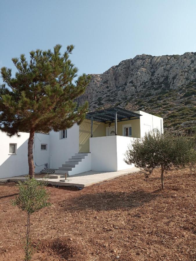 Albatros Studios & Apartments Lefkos  Exterior photo